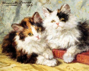 動物 Painting - am050D 動物 猫